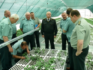 Зелене царство Вінниччини: сто років тому й нині