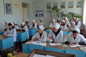 Коледжі готуватимуть професійних молодших бакалаврів