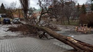 Оговтуються від негоди