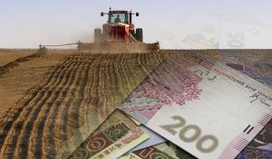 Аграріям Сумської області обіцяють вагому підтримку