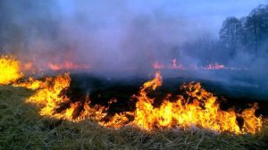 Смажили шашлик, а «підсмажили» машину