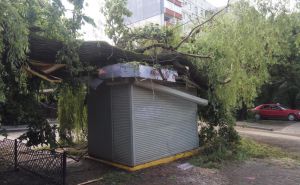 Залишилися без дахів