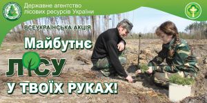Долучитися до акції «Майбутнє лісу в твоїх руках» може кожен