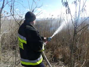 За інформацію про паліїв встановили винагороду