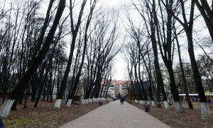 Боздоський парк оновлять і впорядкують