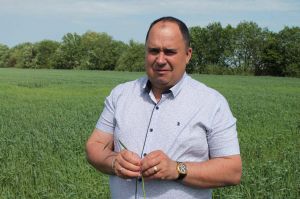 Настав час братися за створення екологічної держави