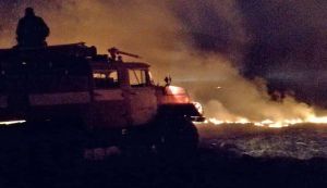 Горіли не лише поля та сіножаті