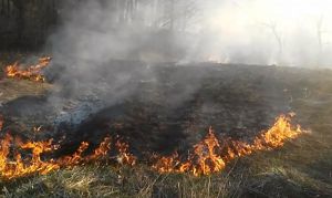 Звинувачують залізничників у підпалі поля