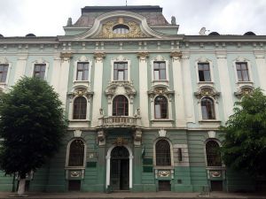 Лісова галузь потребує капіталовкладень і змін у нормативних документах