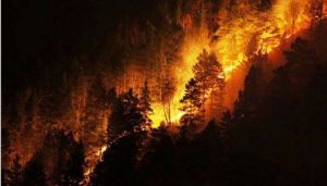 «Мода» на спалювання — небезпечна