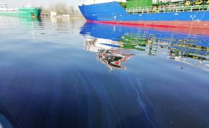 Попливла до нерестовища отрута