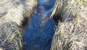 Води в колодязях поменшає
