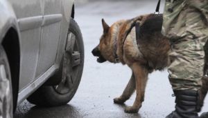 «Гарячий» понеділок