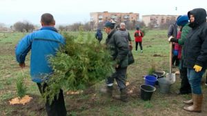 Замість пустиря буде парк