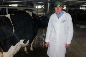 Молока хочеться всім, а корів — ні