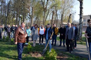У Немішаївському агротехнічному коледжі вирощують енергетичну вербу
