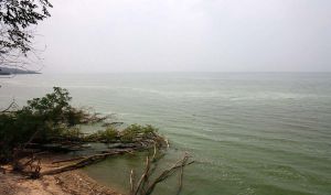 Каховське море перетворюється на великий ставок