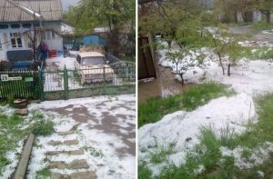 Зливи та снігопади