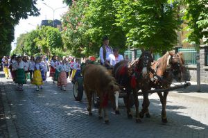 Відбулося свято виноробів