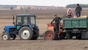 Посівна вибилася з графіків