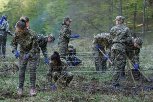Уже посадили 97 відсотків запланованого молодого лісу