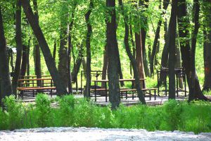 У Рубіжному відпочиватимуть із комфортом