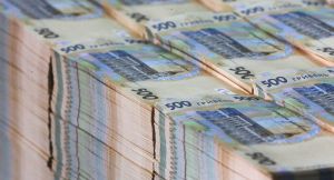 На Житомирщині задекларували мільйони 