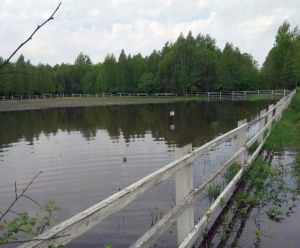 На Рівненщині зазнали збитків від негоди