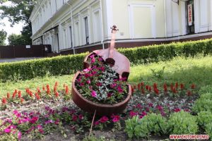 На заквітчання та озеленення вулиць Житомира витратили 489 тис. гривень
