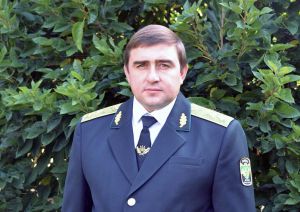 Створюємо ліси на століття