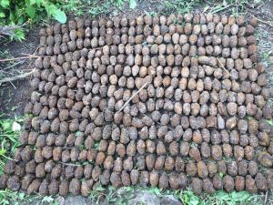 На Волині знешкодили небезпечні знахідки