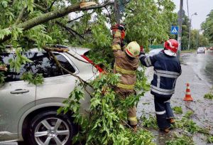 Затоплені вулиці, вирвані дерева