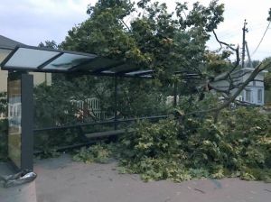 Другу добу долають наслідки негоди