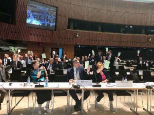 ПА ОБСЄ закликає вивести окупаційні війська з Криму