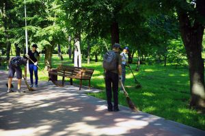 У заліковках і щоденниках — перші зароблені гроші