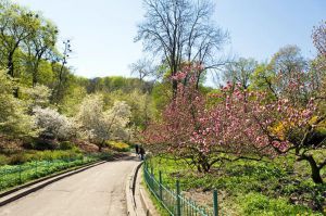 У Києві більшає парків і скверів