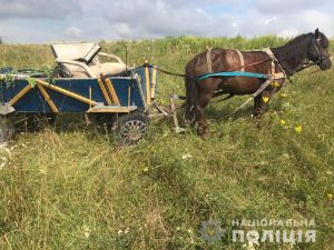 Щоб забрати крадене, нахабний злодій поцупив ще й коня
