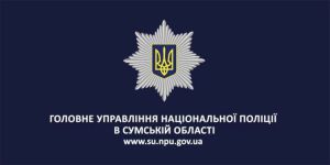 Побитого водія можуть оштрафувати