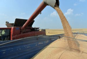Плюси і мінуси експортних рекордів
