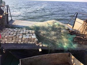 Браконьєрське свавілля в пониззі Дніпра