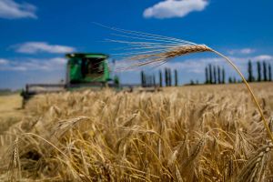 Ціна обмолоту — 30 грн за сотку