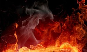 Збитки від паліїв стають дедалі більшими