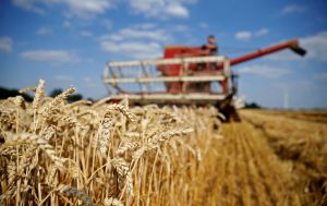Аграрії Львівщини подолали перший мільйонний рубіж
