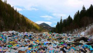 Як терміново на Закарпатті переробити і вивезти сміття 