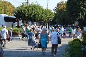 Пенсіонери оздоровлюються у «піонертаборі»