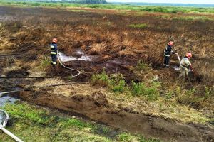 У Чернігівській області знову горять торфовища