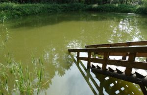 Цілюще місце в глибинці серед Кременецьких гір