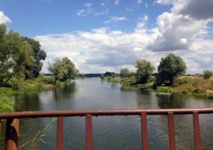 Село на Київщині потопає у фекаліях