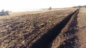 На Одещині фермери розорали «Тузловські лимани»