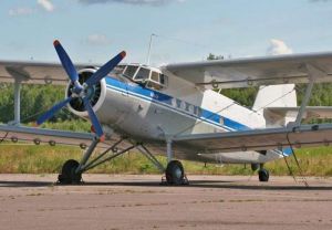 У Чернівецькій області вакцину проти сказу розкидають з літаків